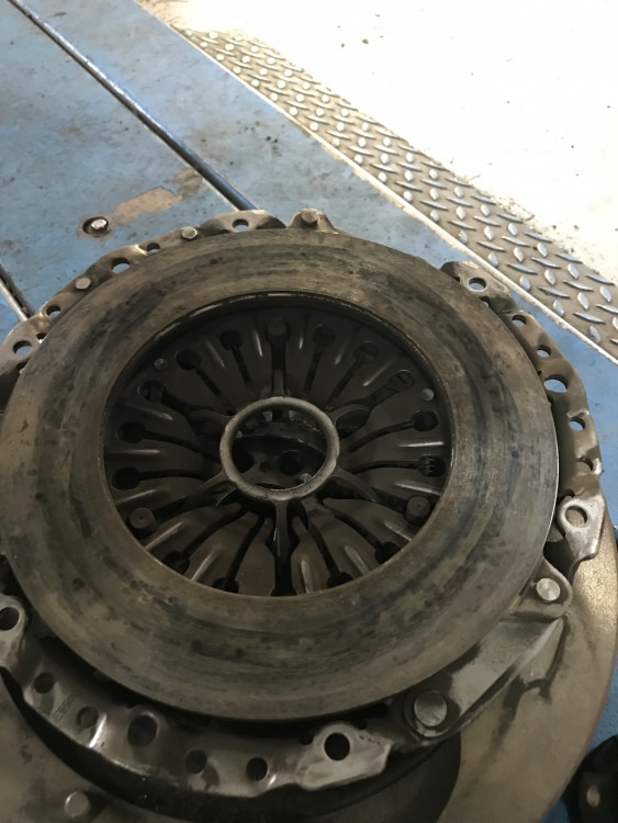 EAFB8AF3-E64C-40CB-85EF-9850B1000CC7.thumb.jpeg.b7166ca10849bd24c43fc6f80d2b6f34.jpeg