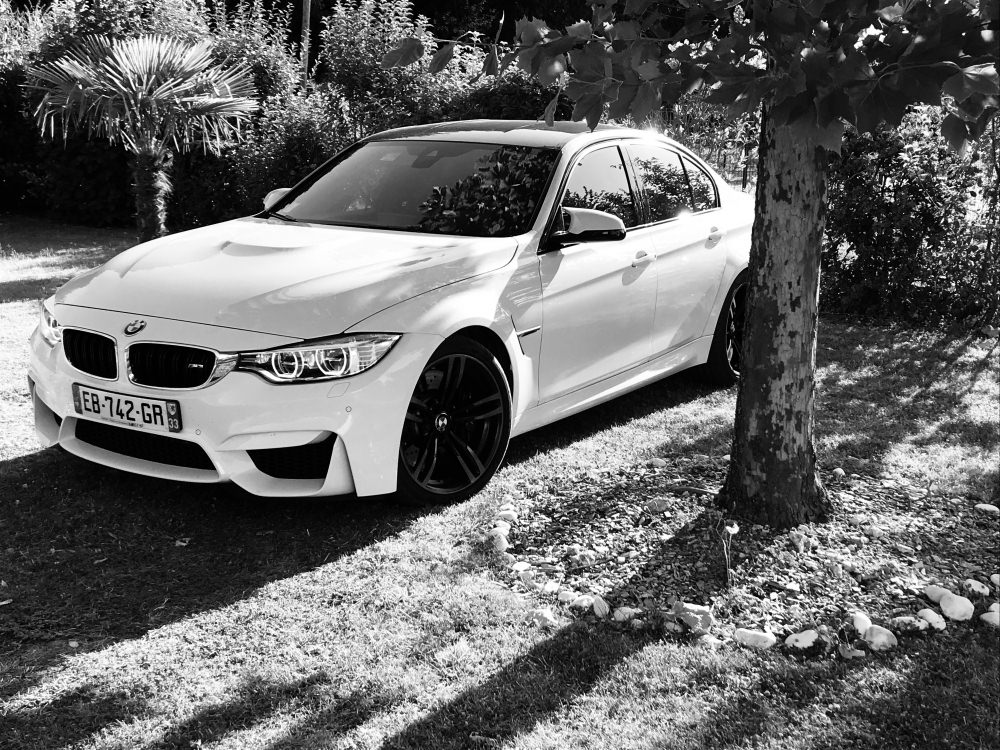 IMG_E2656[1].JPG