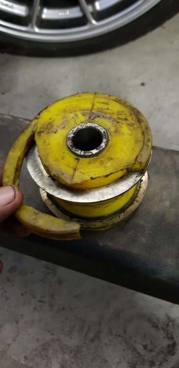 20180801_121445.thumb.jpg.5c2338f4ba1ba5e2ff3de4ab35efb443.jpg
