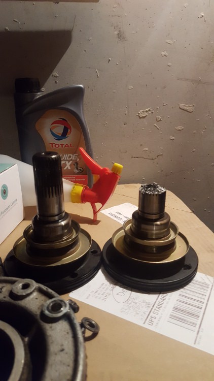20180913_201331.jpg
