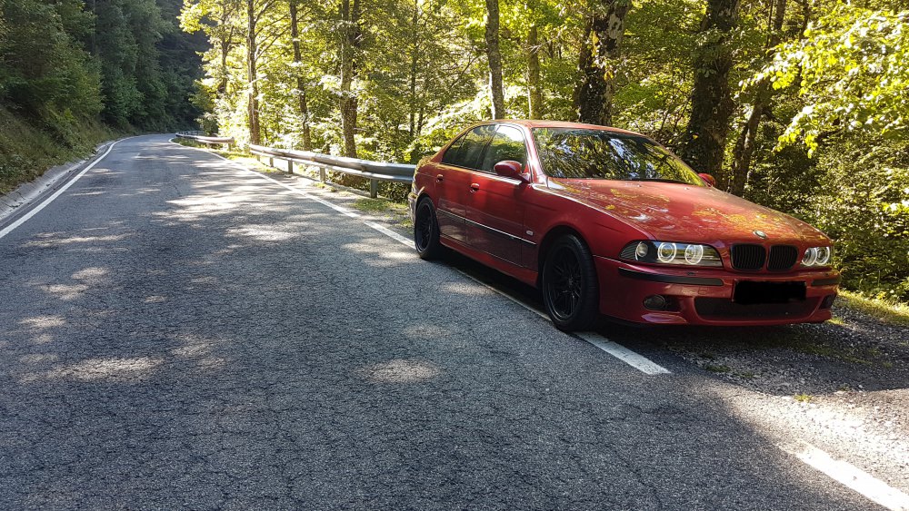 20180920_221335.thumb.jpg.f8ebd1db94aad94c0523fe8706be4b6e.jpg