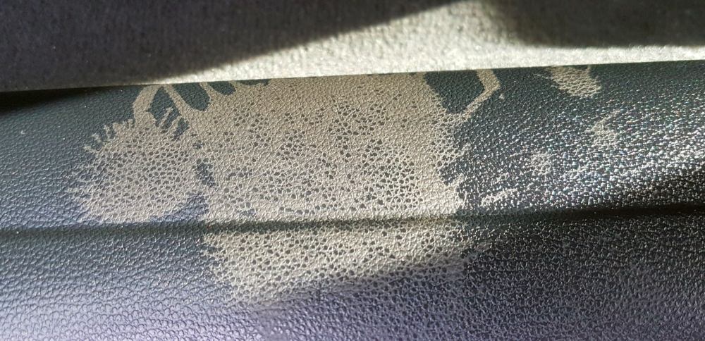20180930_161239.jpg