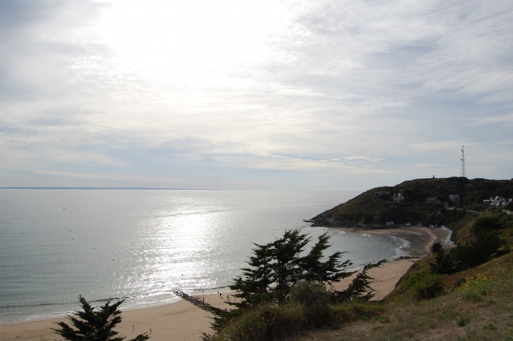 DSC_0119.thumb.JPG.a2be1fd81772104f406b181738cdd5b4.JPG