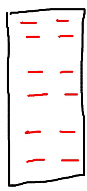 F8385410-0C55-47E8-9EBD-5CEF25E3D30D.thumb.jpeg.27b260728b10a4cda7795a6199b82d8e.jpeg