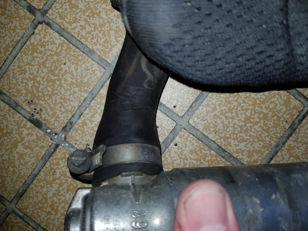 20181008_142232.thumb.jpg.5d26942bf453c6ea78a26cc837873a7b.jpg