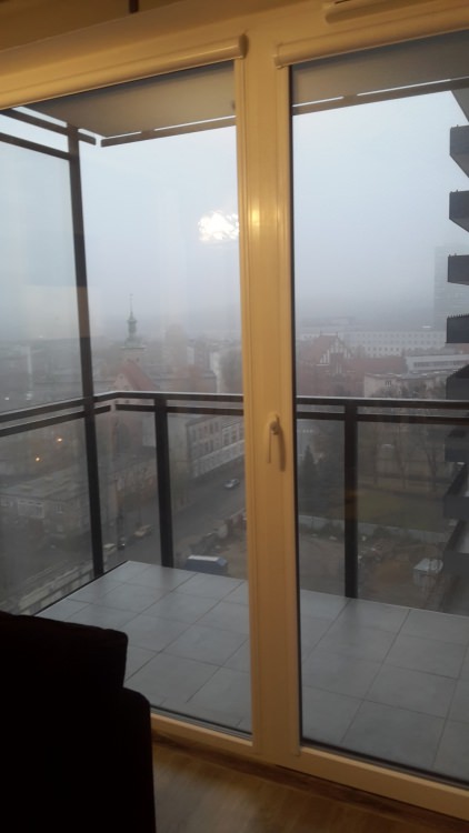 20181110_071901.jpg