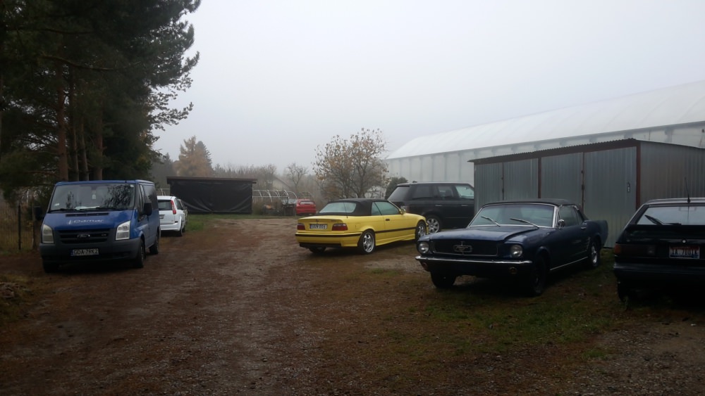 20181110_092818.jpg
