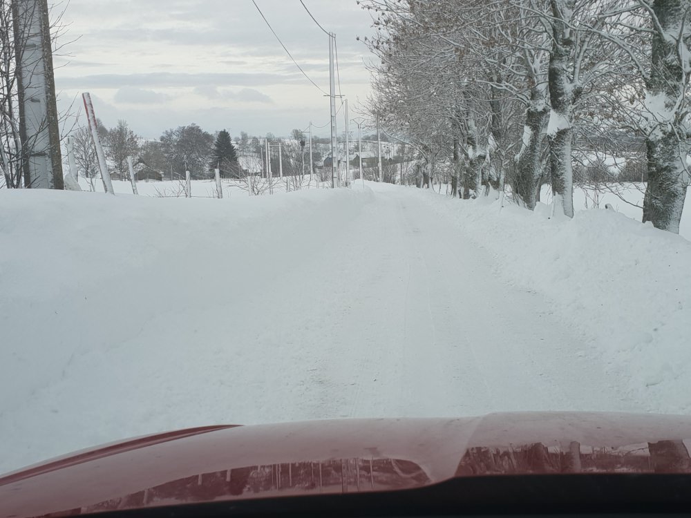 20190131_100551.jpg