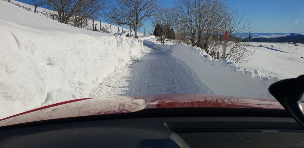 20190205_095849.jpg