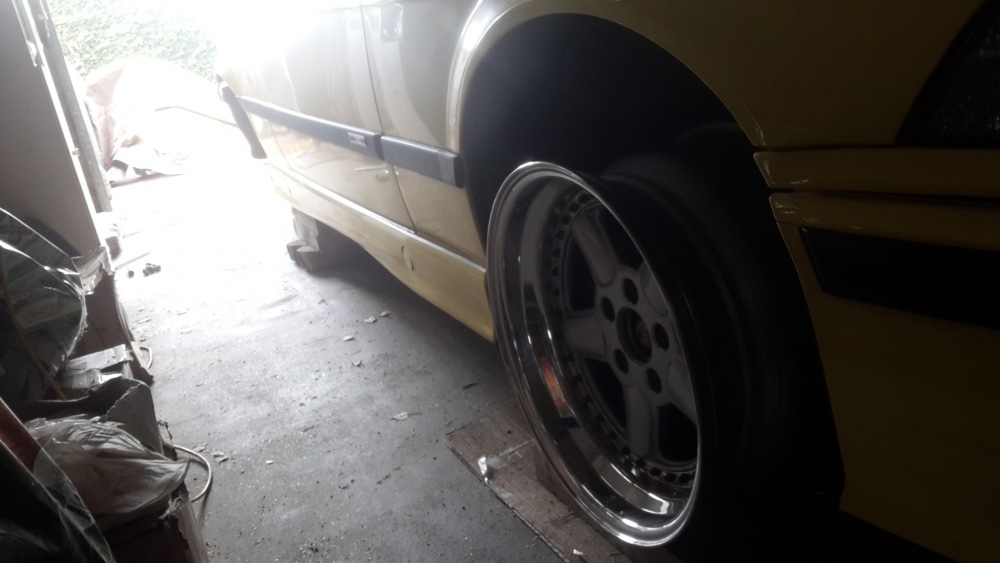 20190210_113251.jpg