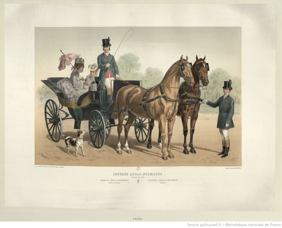 Chevaux_anglo-normands_Calèche_vis-à-vis___[...]Adam_Albert_btv1b530266168.JPEG