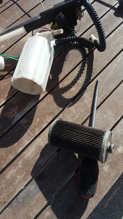 20190303_103015.jpg