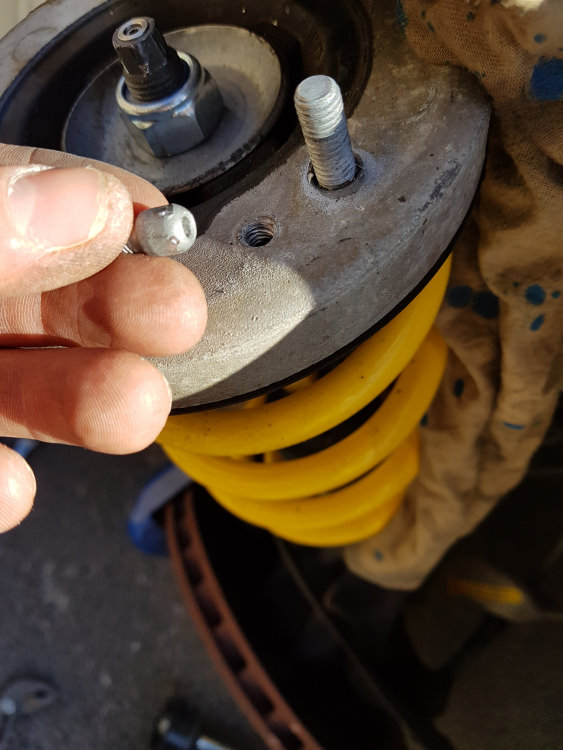 20190307_121657.jpg