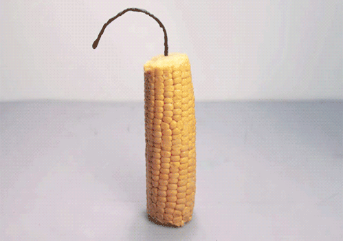 original.gif.ec70c50575dcb75054aea0df6fb02f7b.gif