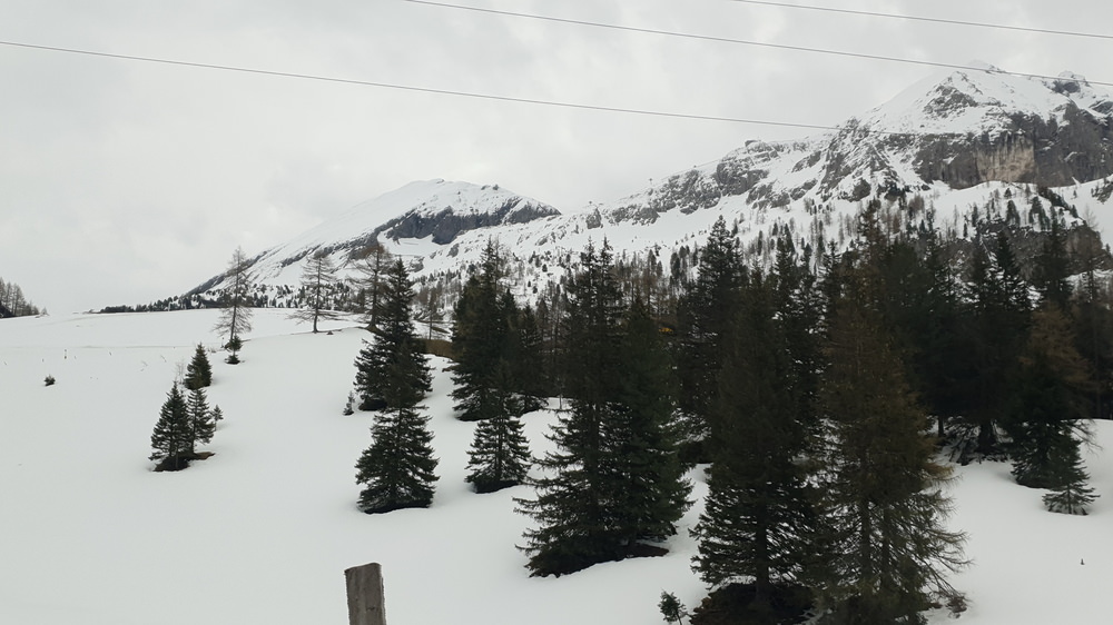 20190510_130200.jpg