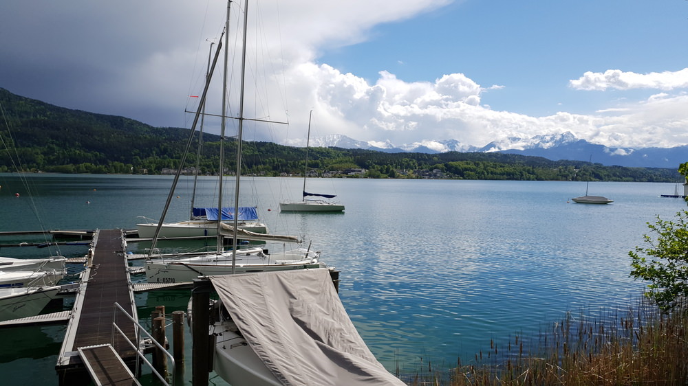 20190510_155006.jpg