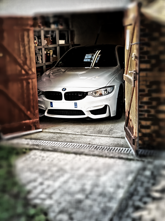 IMG_0389.PNG