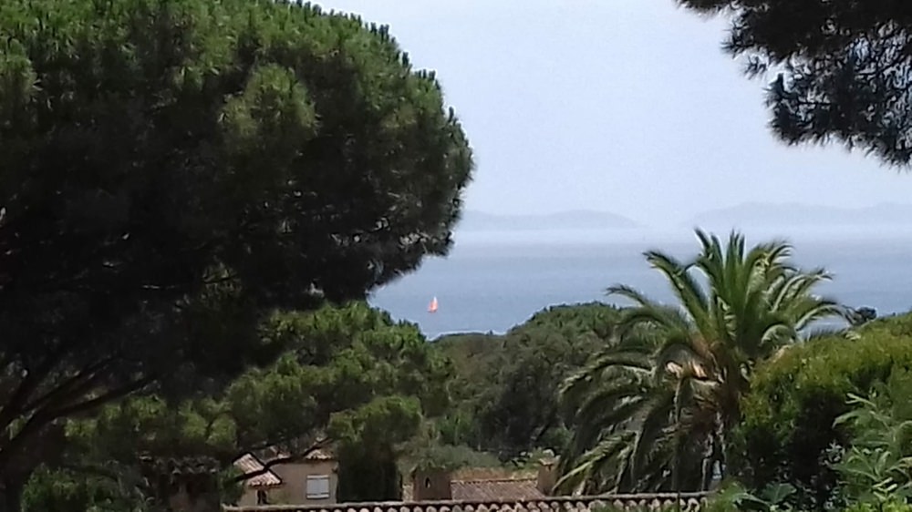 IMG-20190709-WA0003.jpg