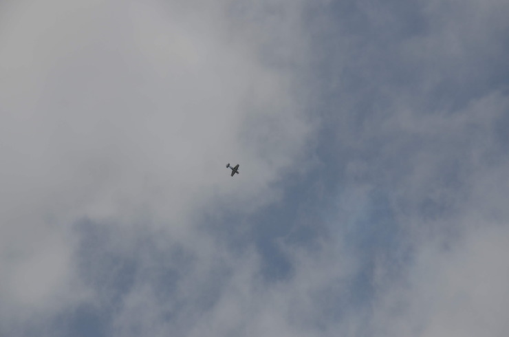 SEB_0490.JPG