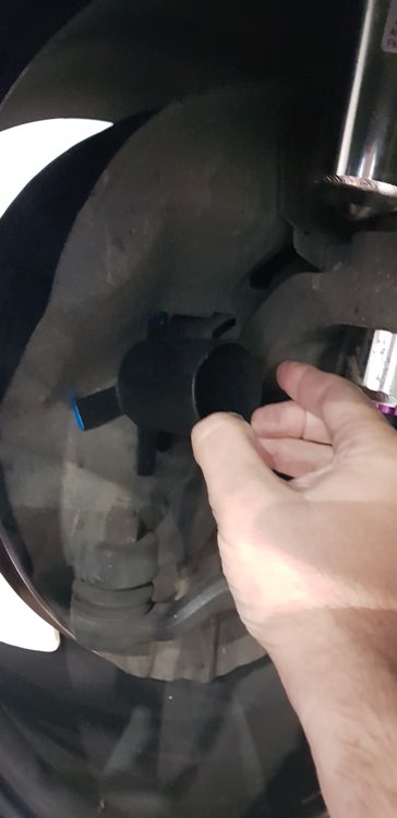 20190812_082249.thumb.jpg.4ec16cb54ec5c7fae4727e1636bf91e9.jpg