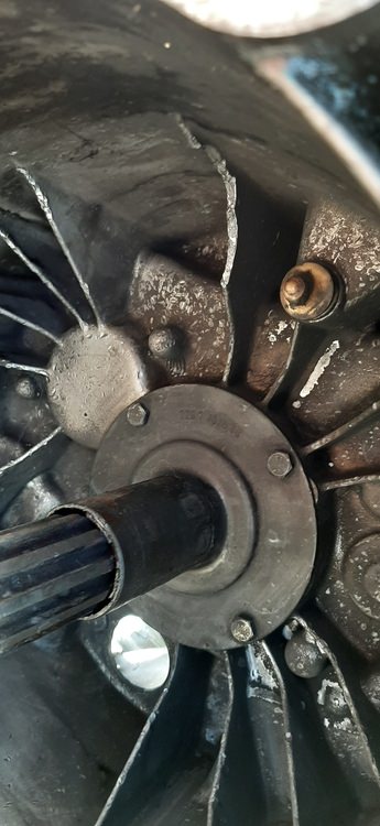 20190915_174411.jpg