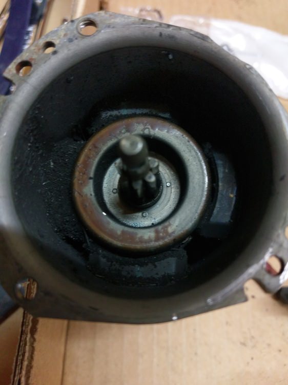 IMAG0951.jpg