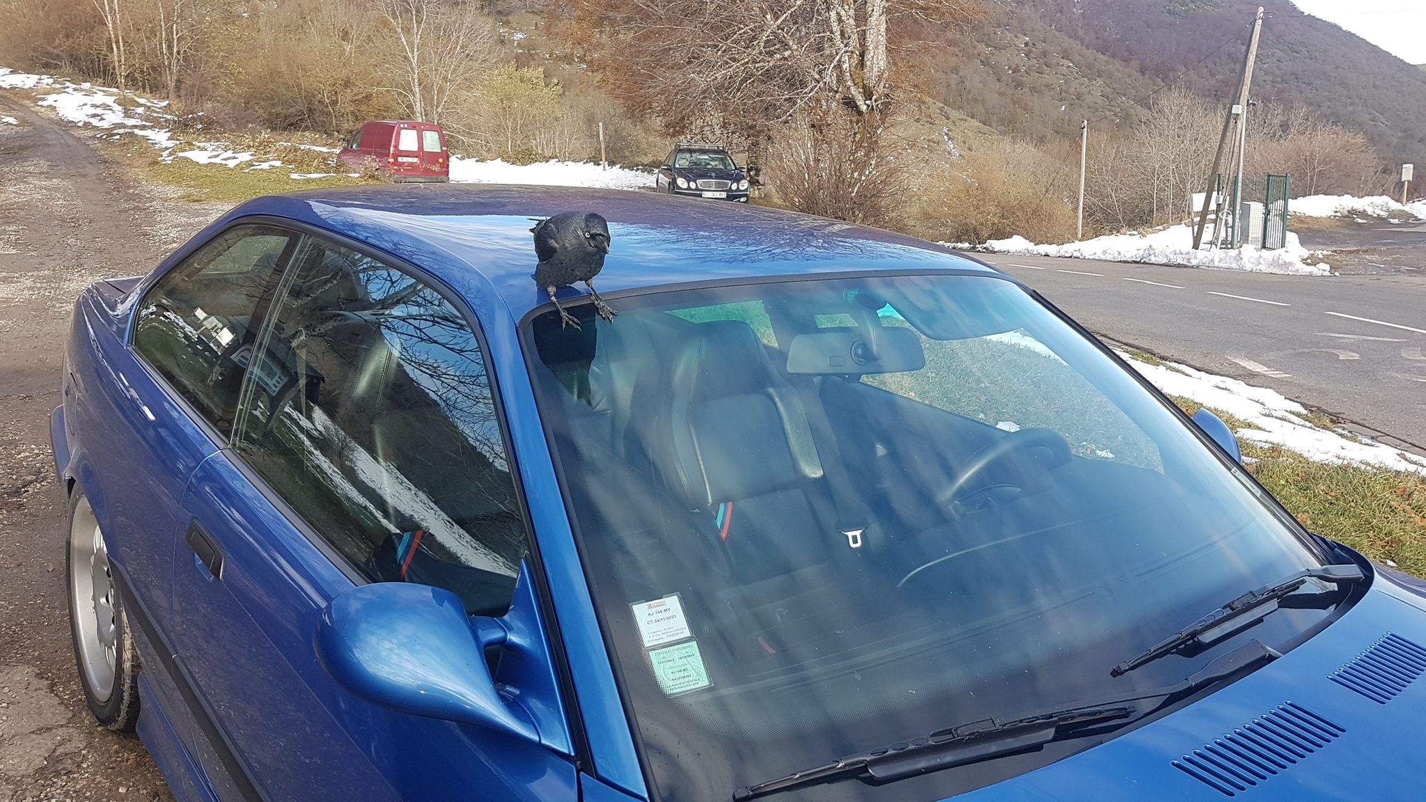 20191121_154334.thumb.jpg.fe71e198714959d47a80076f19db5c28.jpg
