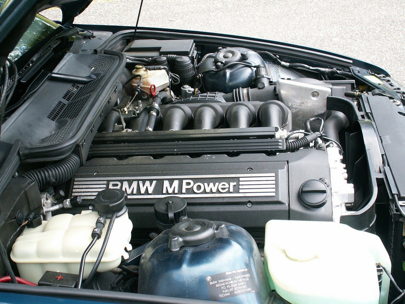 475994848_M332172.JPG.bb342d11ee459204eb9129ce20c2e3e2.JPG