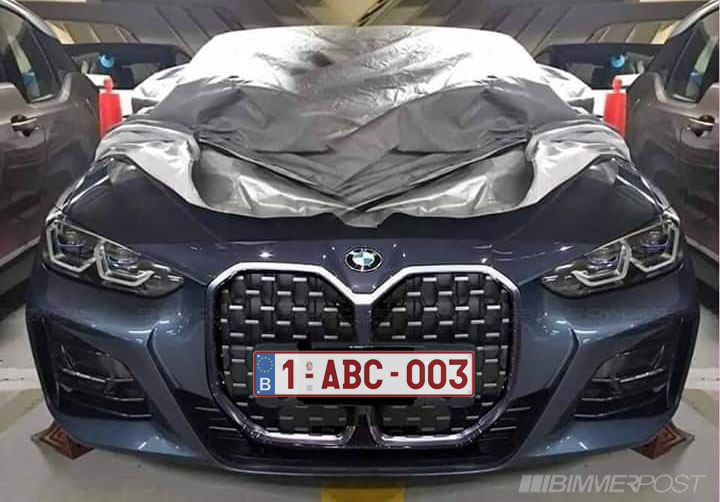 G22 4 Series Coupe Front Grilles Euro Plate.jpg