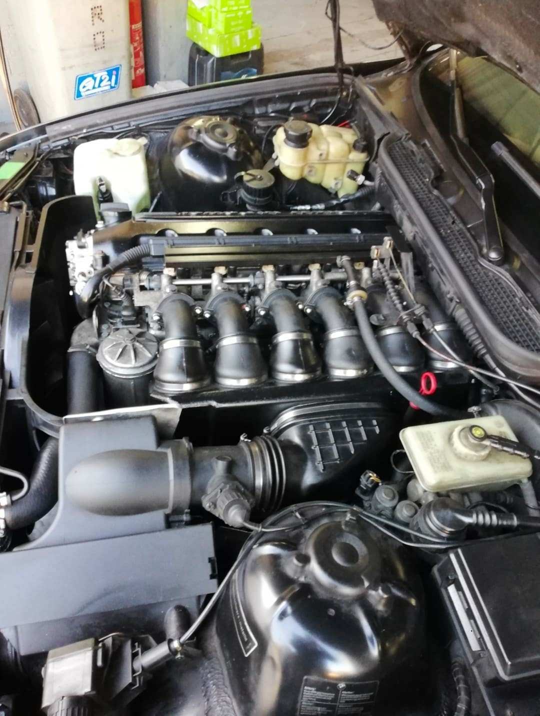 86766357_590865781763400_6413469024377634816_n.jpg.e91fd794e596cbecdac5b19a54d0d072.jpg