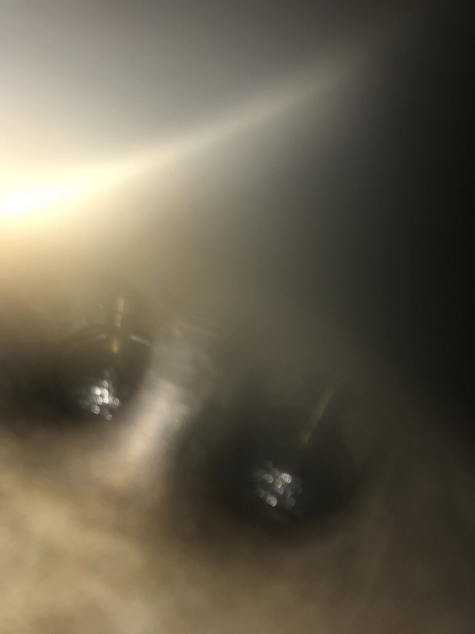 C14D8AF1-DFA2-4B5D-9C47-C9EB003FF4B0.jpeg