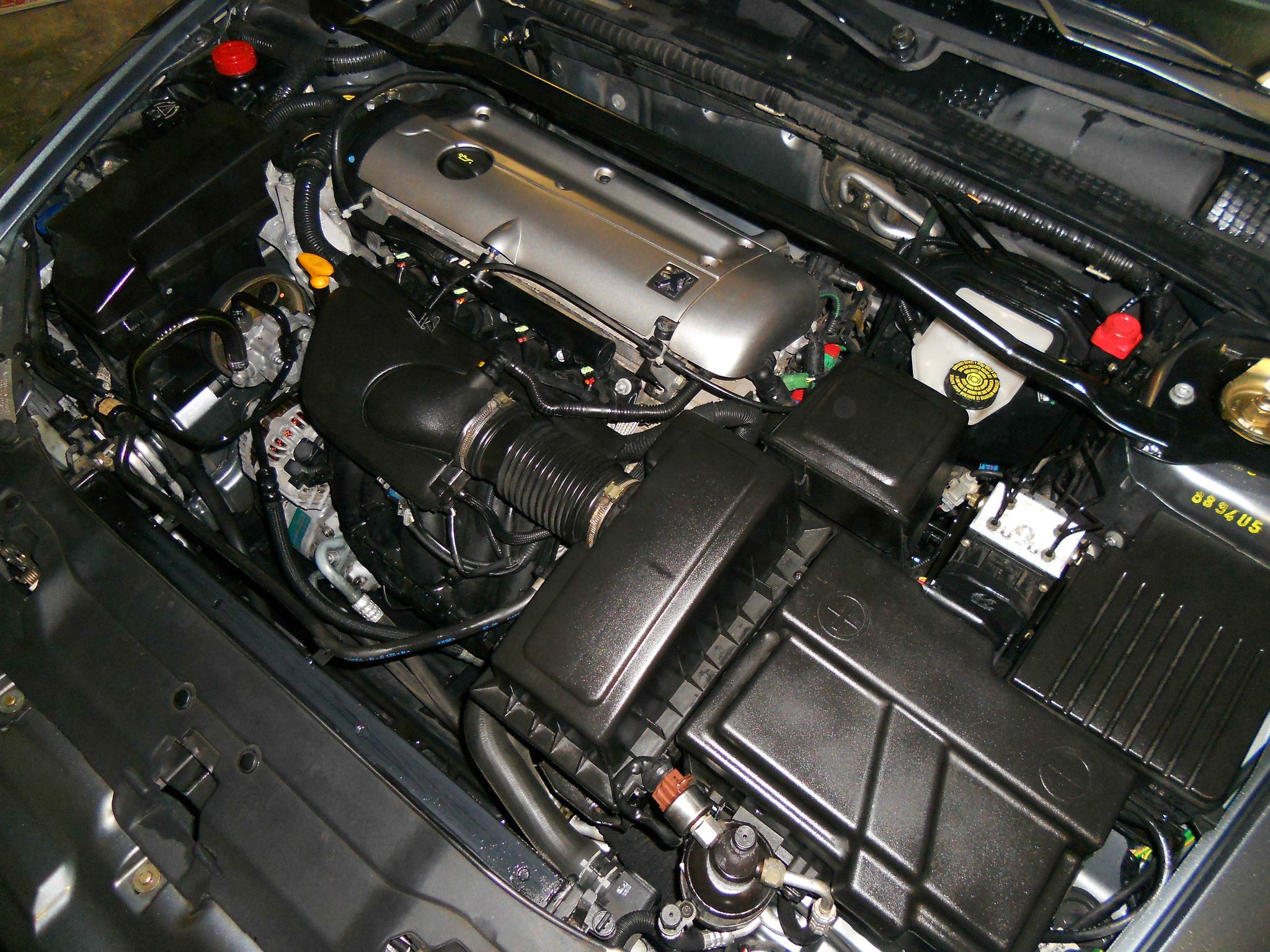 DSCN1787.JPG