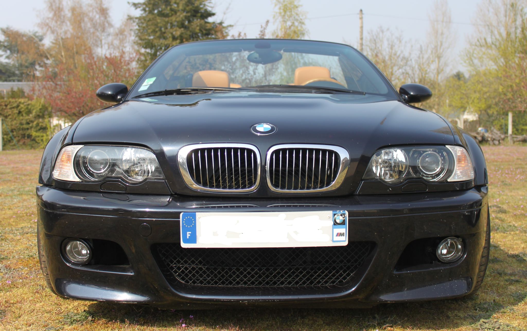 e46 face.jpg
