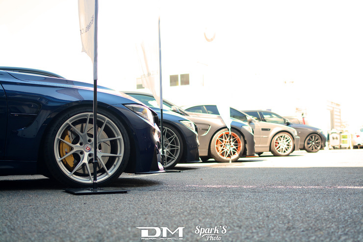 DMP_5435.jpg
