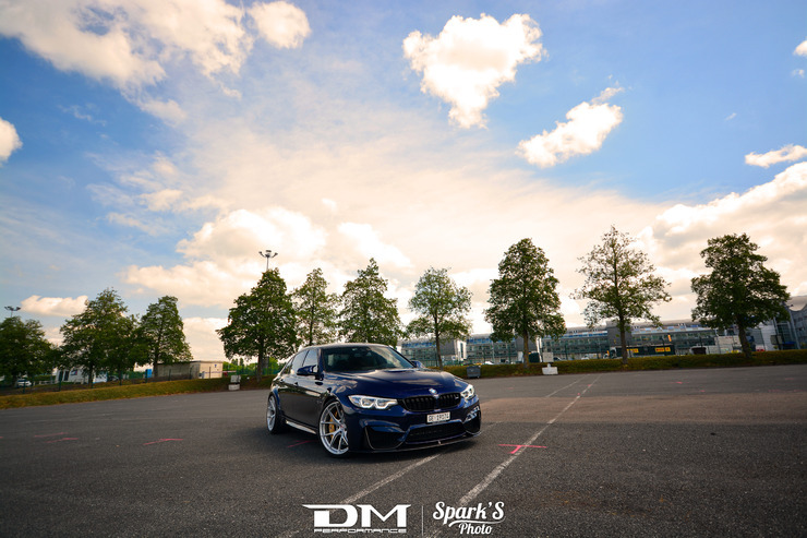 DMP_5529.jpg
