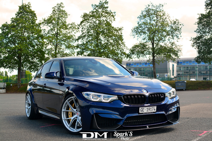 DMP_5531.jpg