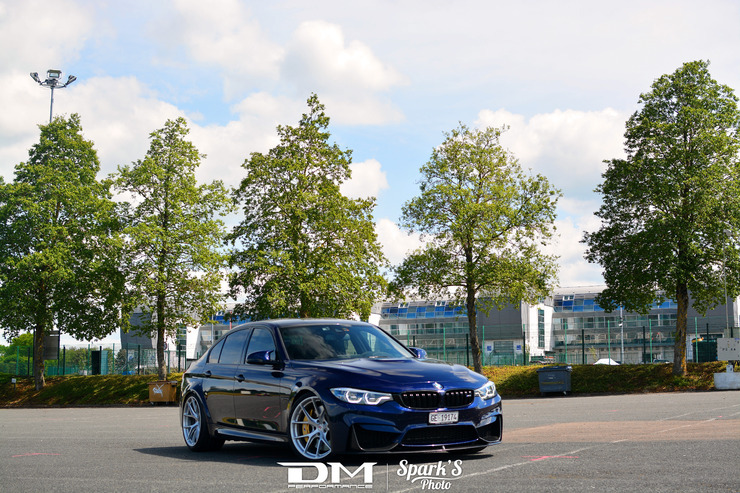 DMP_5537.jpg