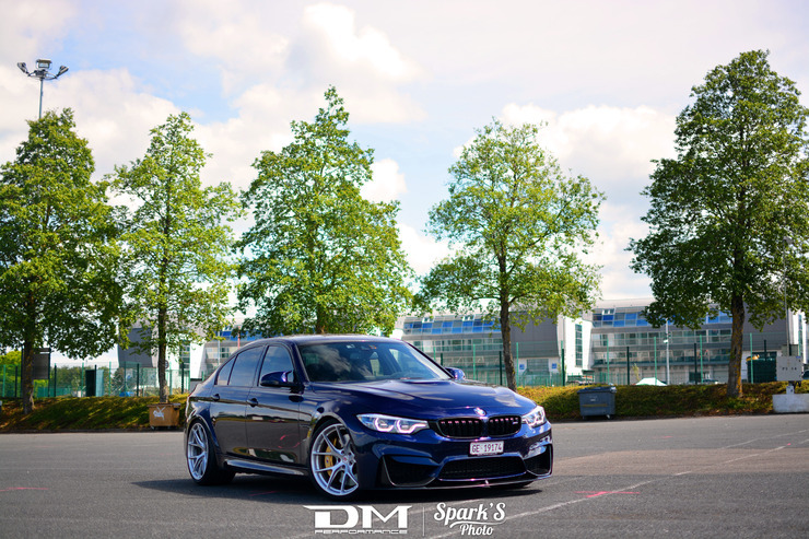 DMP_5538.jpg