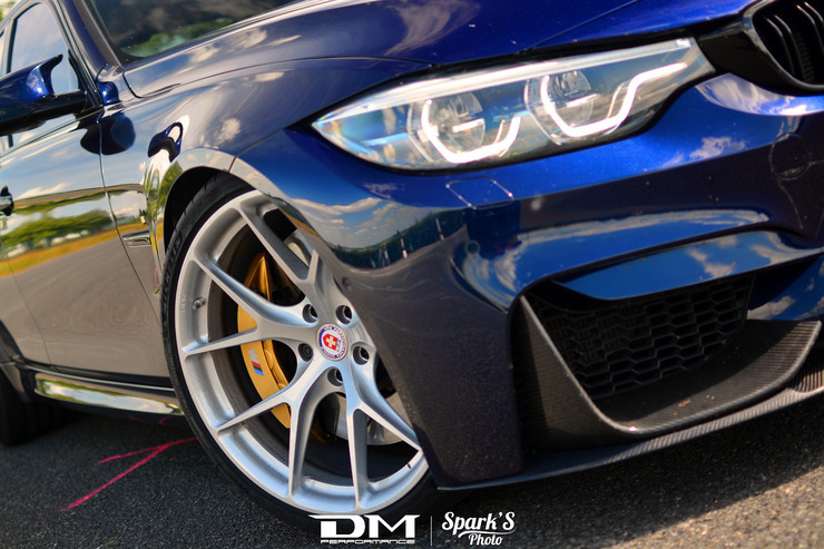 DMP_5541.jpg