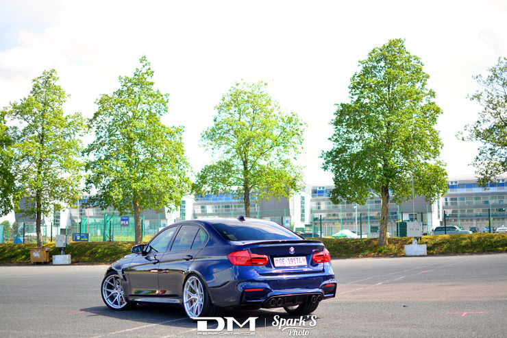DMP_5544.jpg