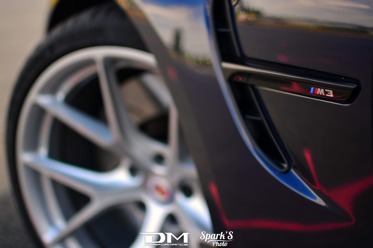 DMP_5545.jpg