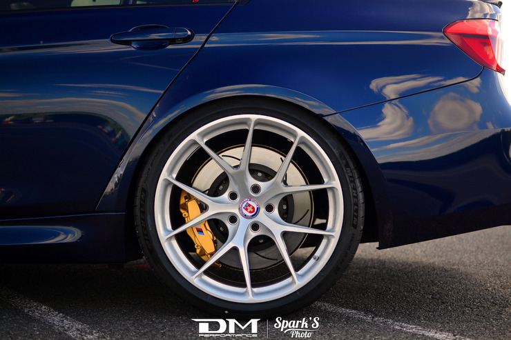 DMP_5547.jpg