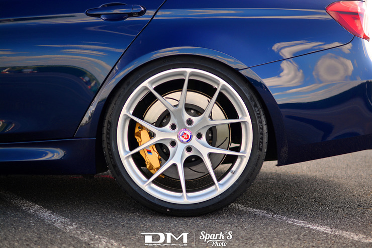 DMP_5548.jpg