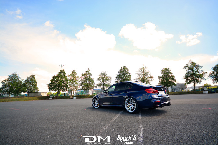 DMP_5554.jpg
