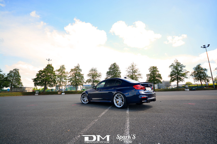 DMP_5555.jpg