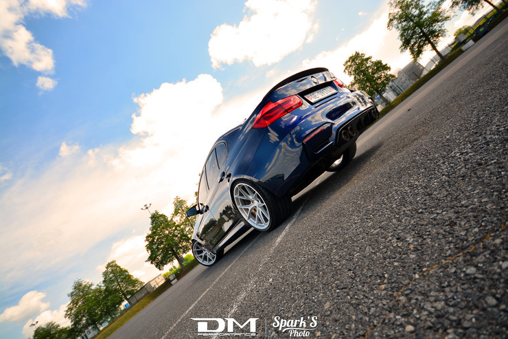 DMP_5556.jpg
