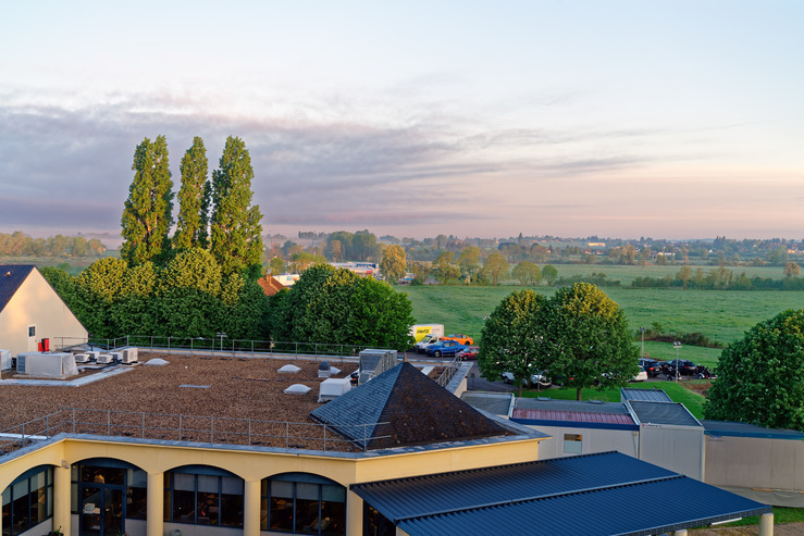 DSC06898_DxO.jpg
