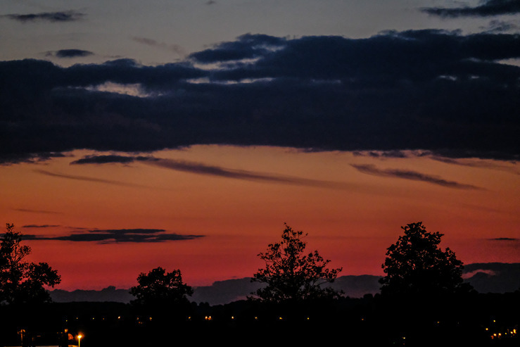 DSCF7487.jpg