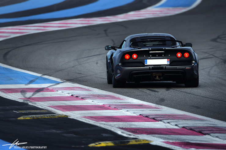 TSA_LOTUS_02.03.19_02.jpg
