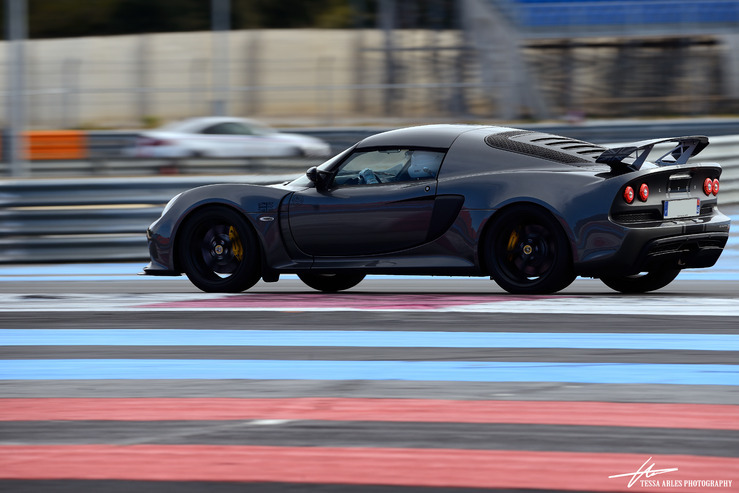 TSA_LOTUS_02.03.19_05.jpg